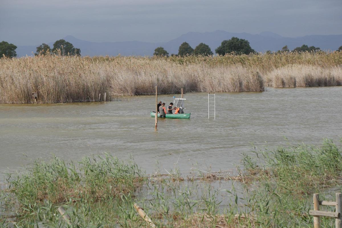 Instalación del equipo de medición de El Hondo, con la silueta de la Sierra de Crevillente al fondo