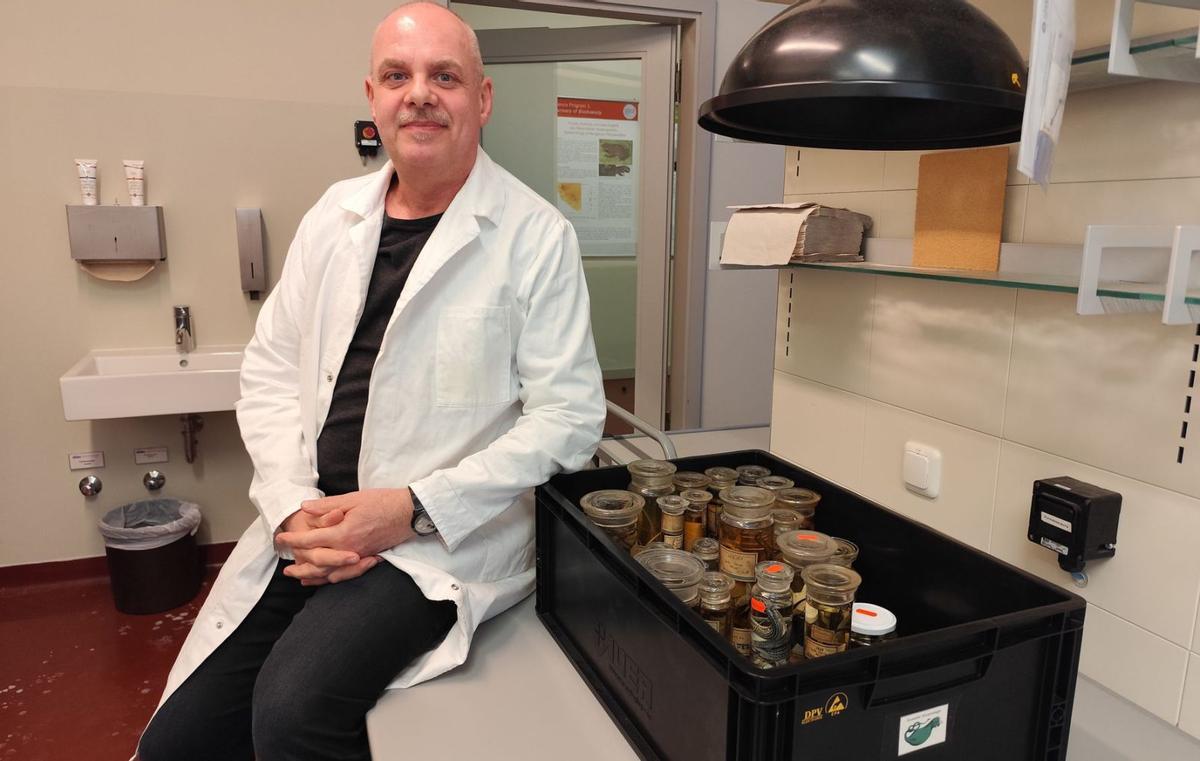 Frank Tillack en el laboratorio del Naturkunde junto a 24 frascos llenos de lagartijas ibicencas. / J.M.L.R.