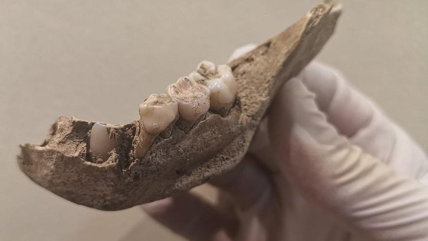 Hallados restos de una docena de niños de hace 3.000 años en Queralbs