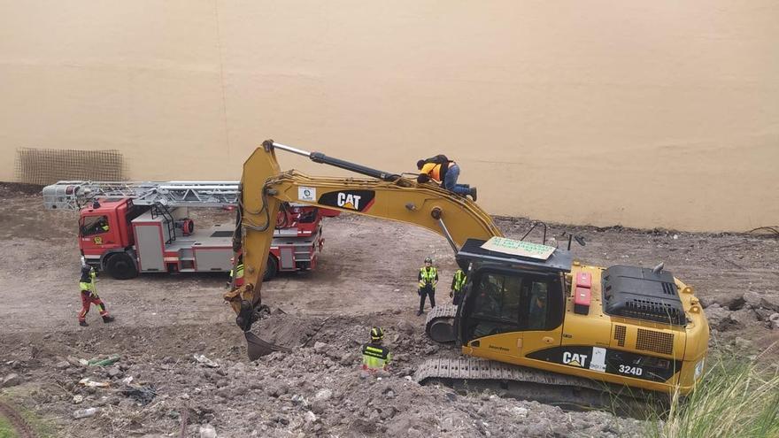 Protesta en defensa de los lagartos gigante de Gran Canaria en Tamaraceite