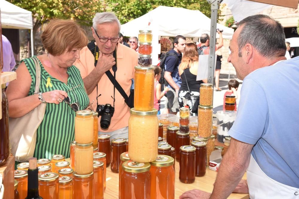 Fira de Sant Miquel a Santpedor 2018