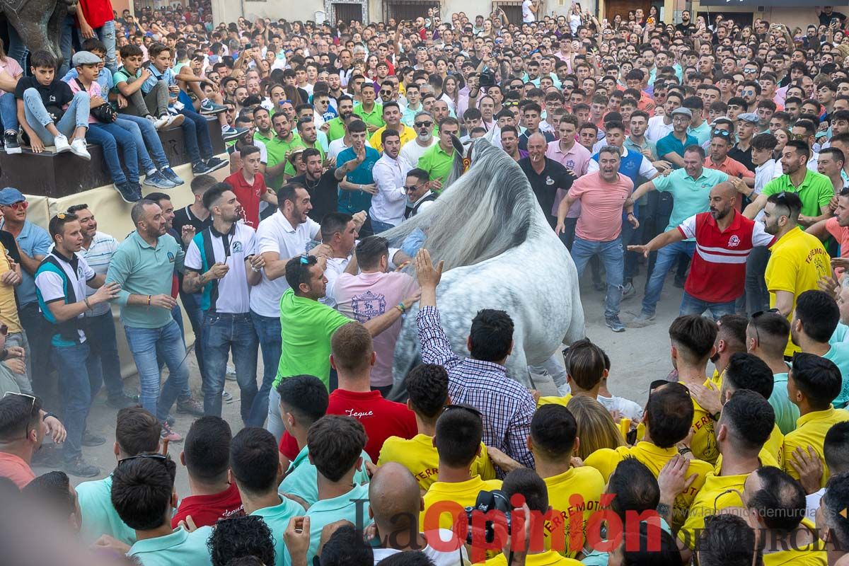 Entrega de premios del concurso morfológico de los Caballos del Vino de Caravaca