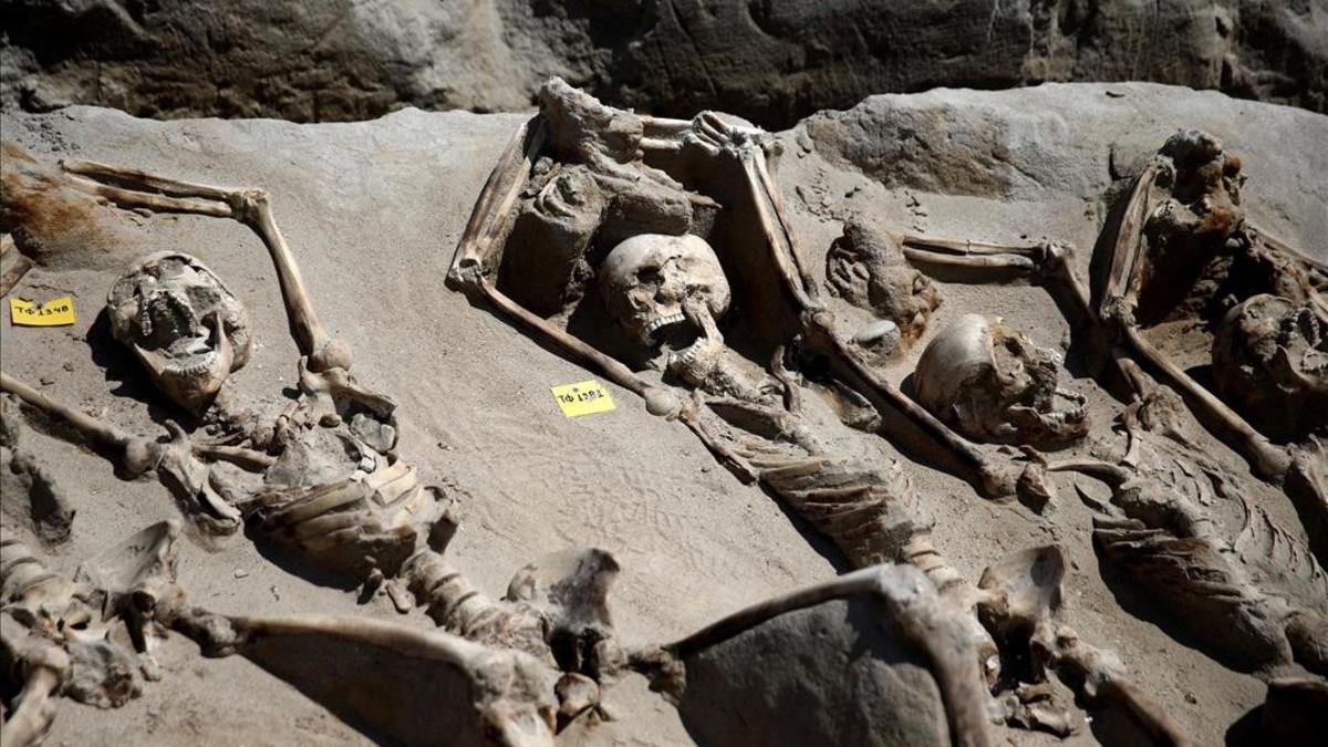 Algunos de los esqueletos maniatados del siglo VII hallados en un cementerio del sur de Atenas.
