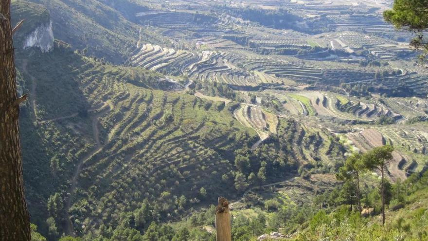 Paisaje mediterráneo.