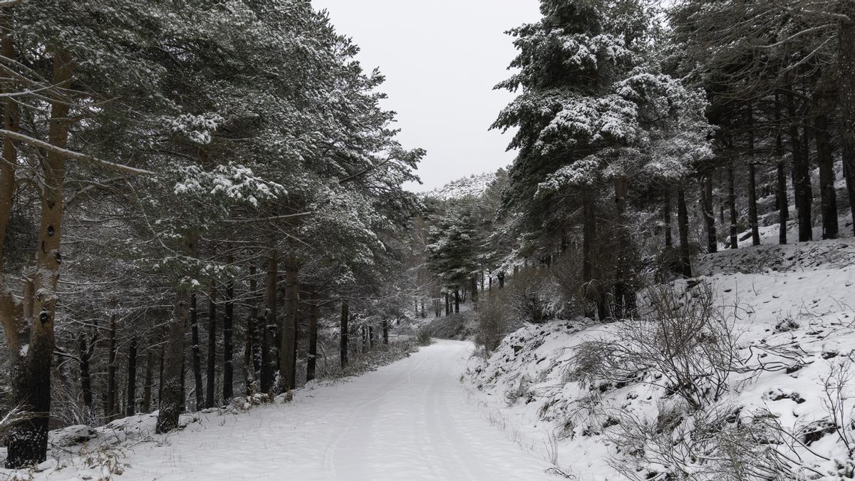 La Nochebuena es blanca en Hervás: la nieve pinta sus paisajes