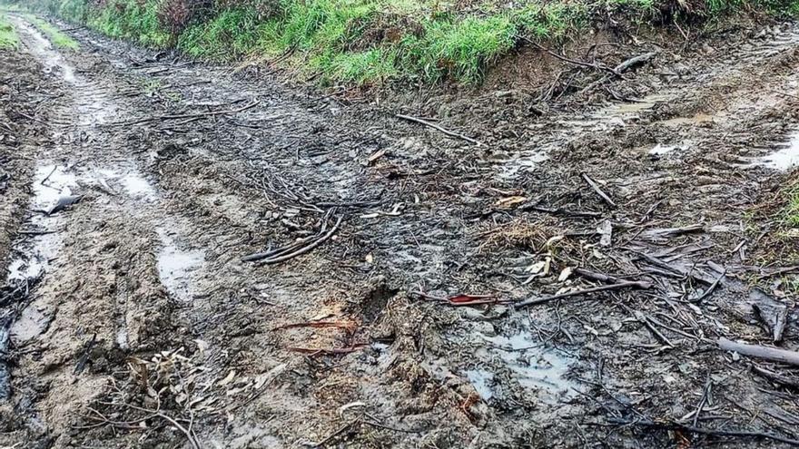 Caminos dañados por camiones, fuera del área protegida de Dexo. |  // L.O.