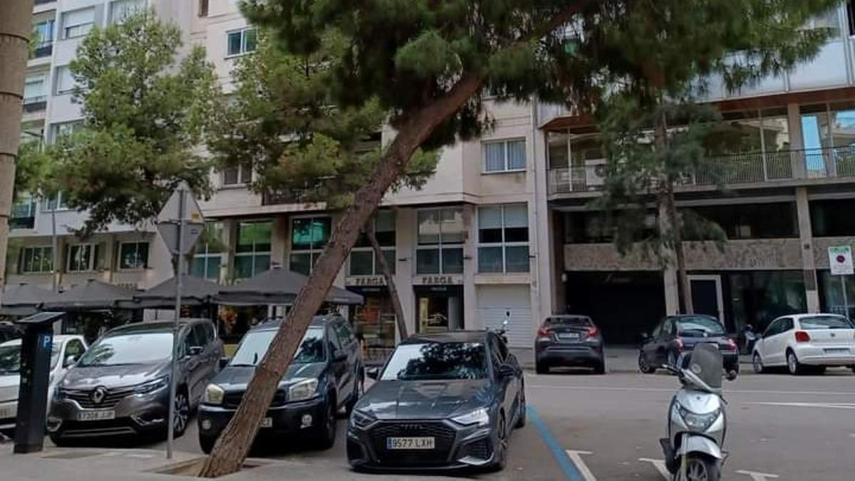 Árbol a punto de caer en la calle Beethoven de Barcelona