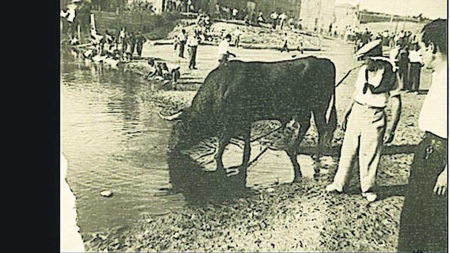 Portada del libro sobre la fiesta de Benavente.