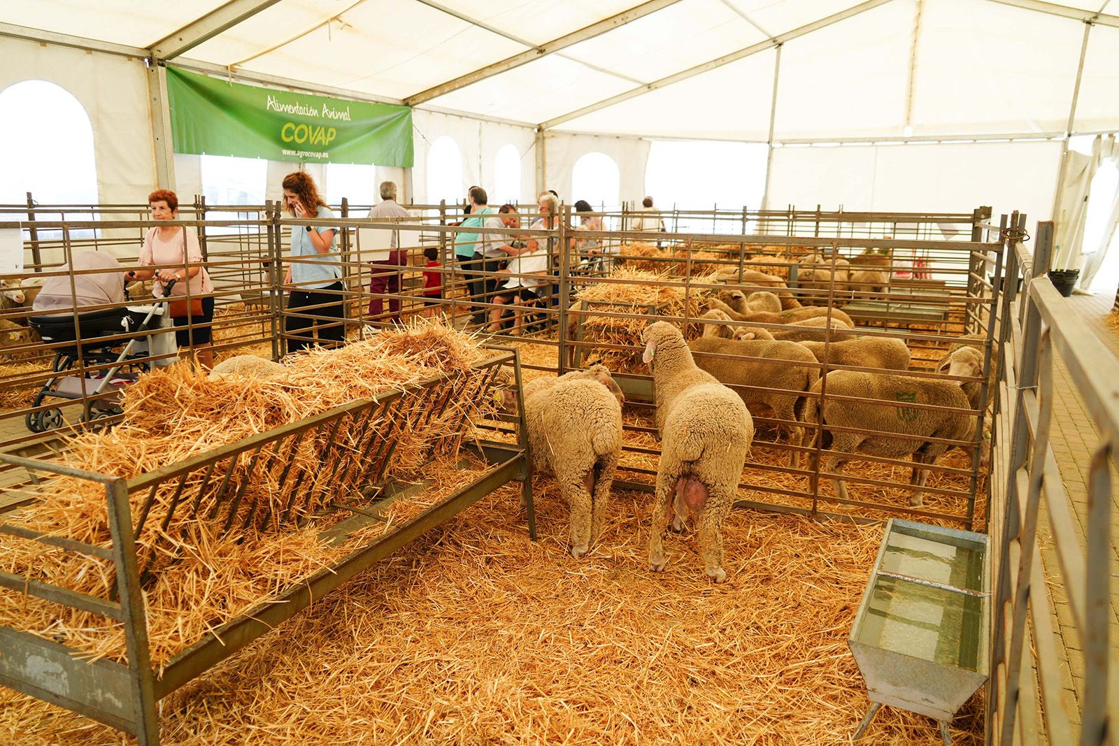 El sector agrícola y ganadero cordobés se da cita este fin de semana en Agrovap