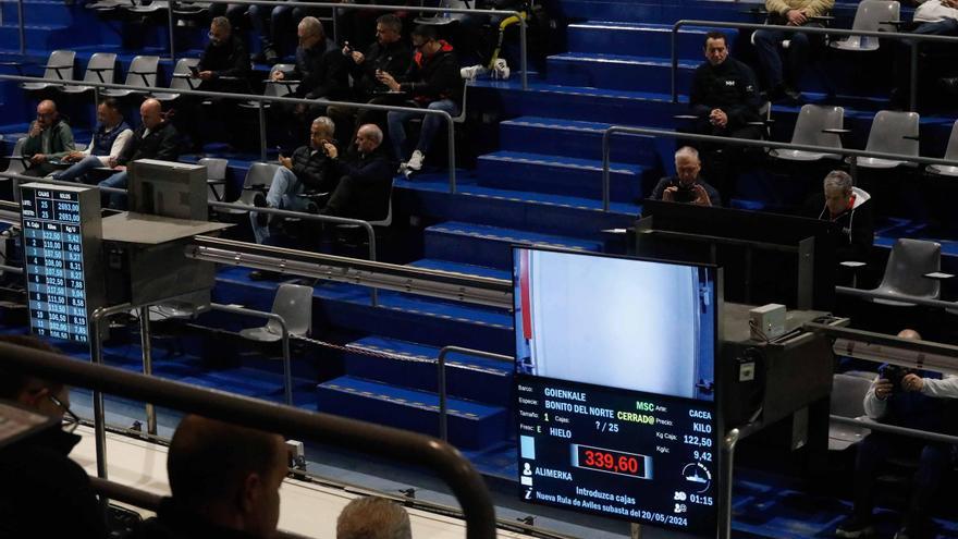 La Nueva Rula de Avilés mantiene su facturación pese al descenso de las capturas de bonito, que gana Gijón