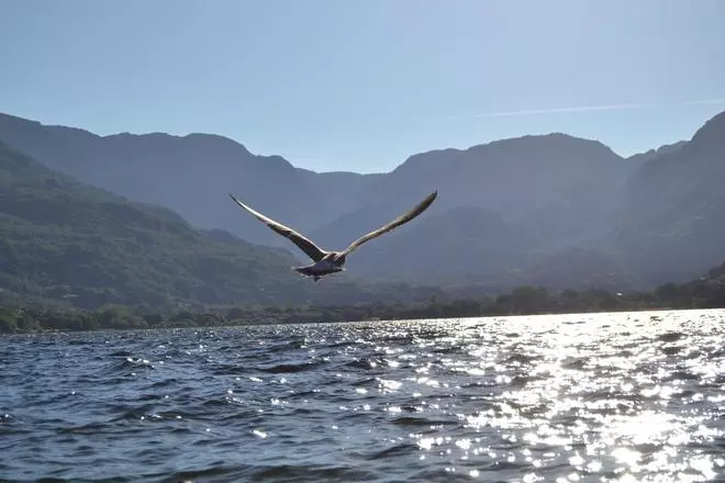 Zamora, turismo de larga trayectoria