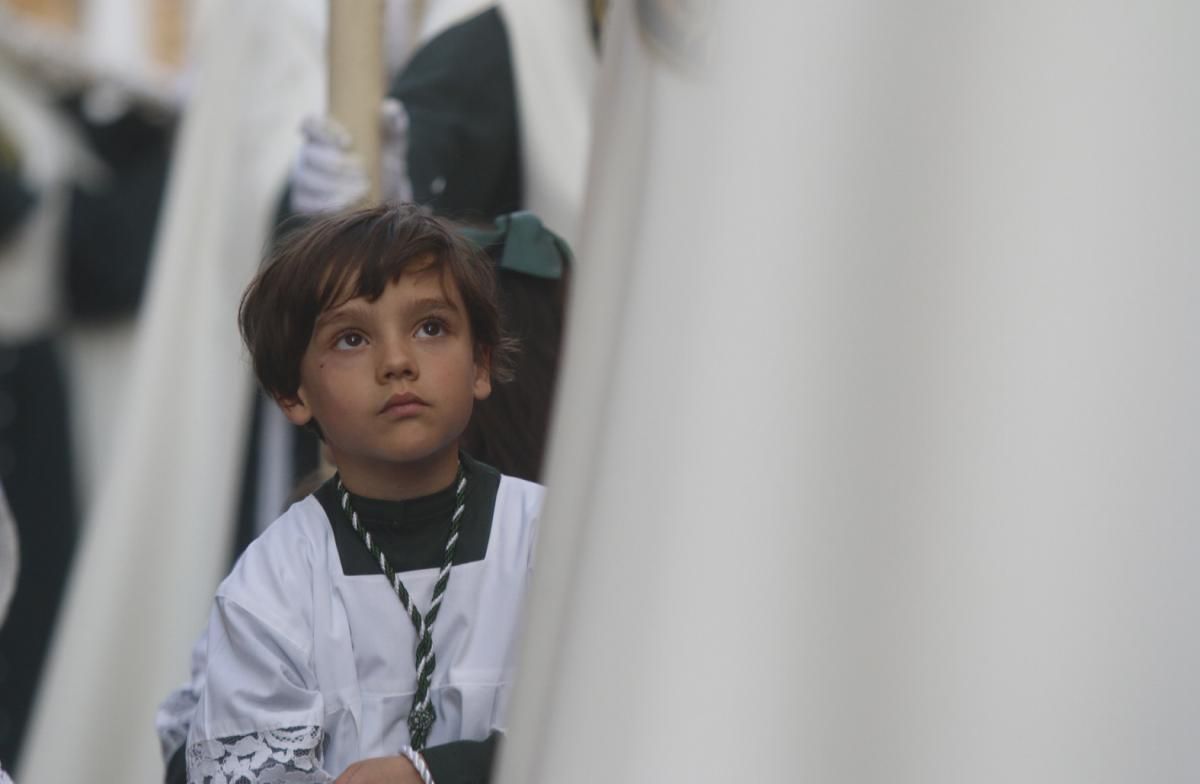 FOTOGALERÍA / Hermandad del Huerto