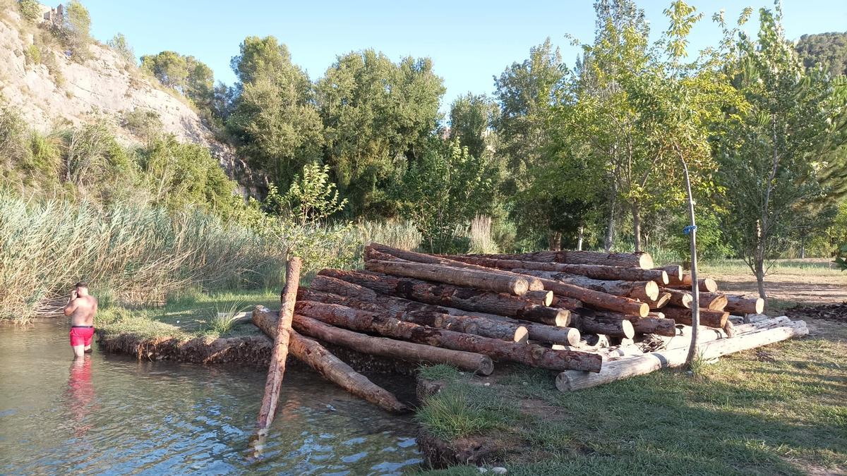 Troncos de madera depositados junto al Xúquer para la &quot;maerà&quot;