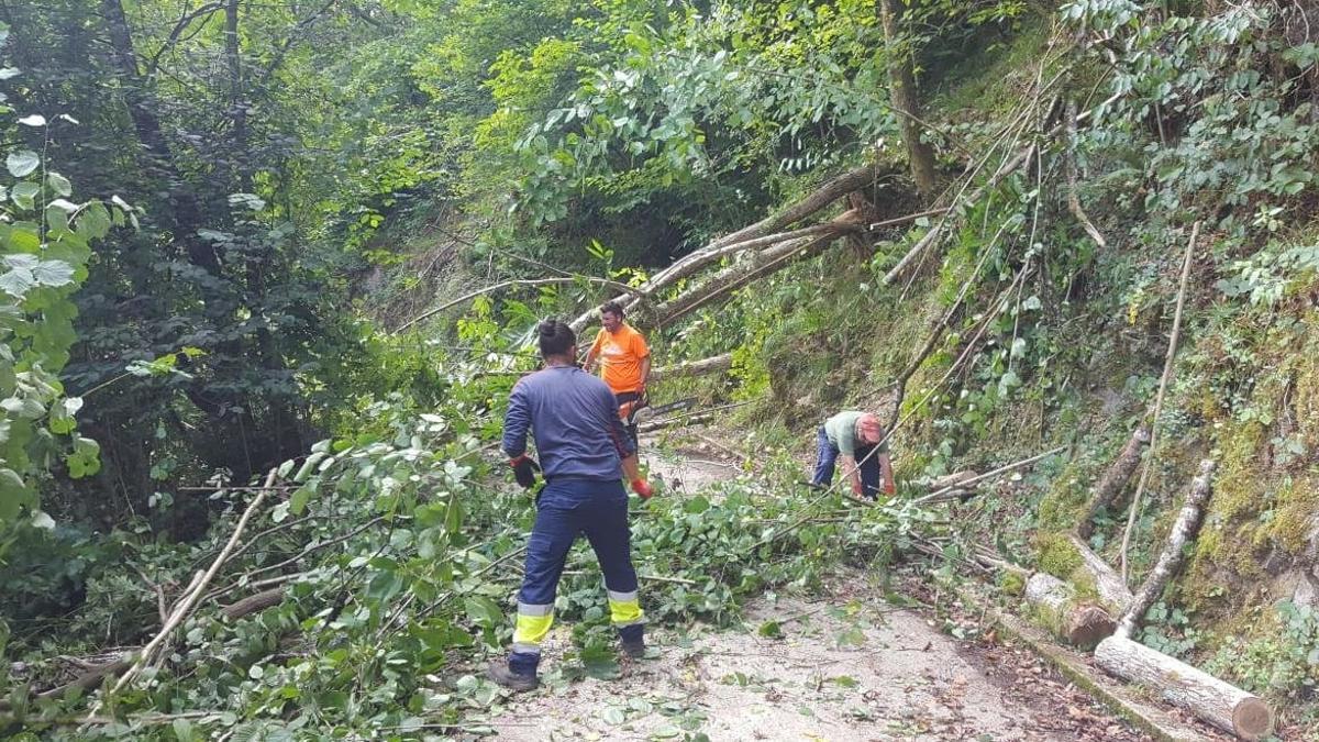 Tres barricadas con árboles cierran el paso a los turistas en la ruta asturiana del Alba