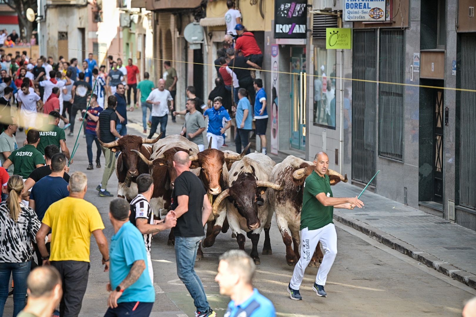 Las mejores imágenes del encierro de  Couto de Fornilhos y Santa Teresa en Onda