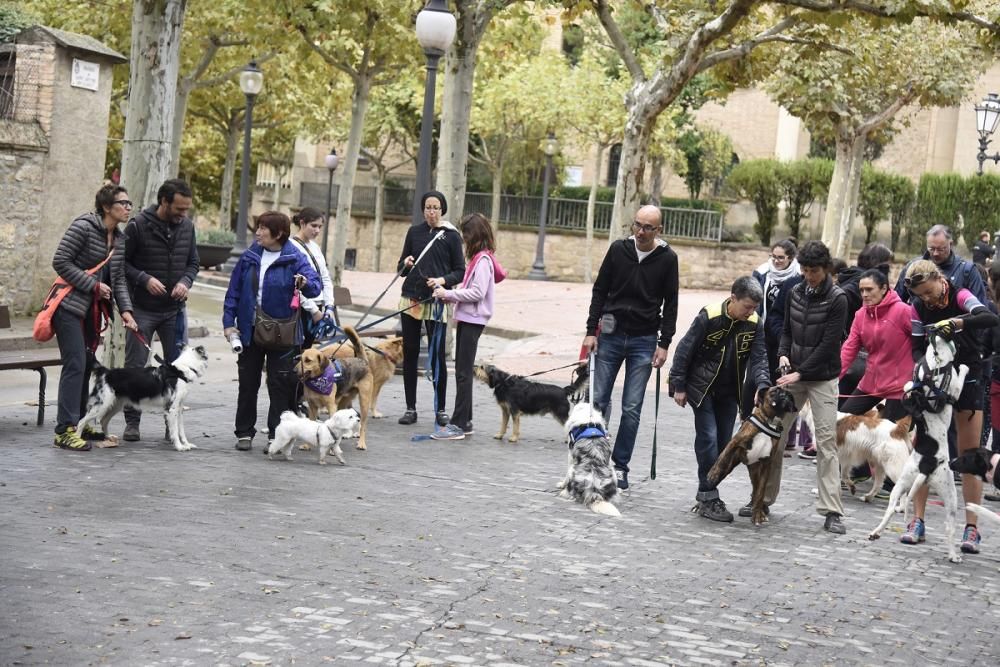 Caminada solidària de Regió7 a Solsona