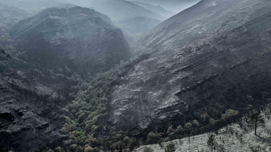 Galicia recibirá 19 millones del Gobierno central para paliar las consecuencias de los incendios de 2025