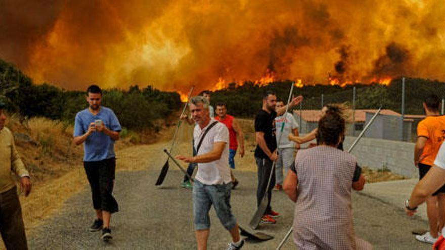 El incendio forestal de Cualedro devasta ya más de 2.000 hectáreas y sigue sin control