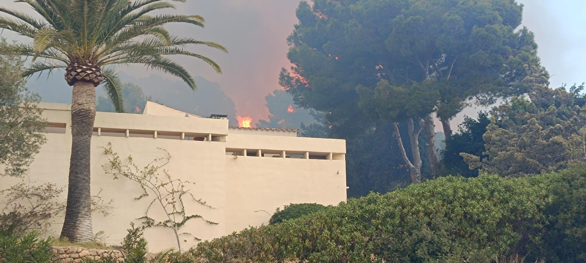 Un incendio forestal obliga a desalojar varios chalés de Costa de los Pinos