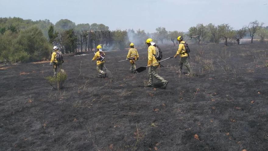Un incendio agrícola arrasa 7.000 metros en Algaida