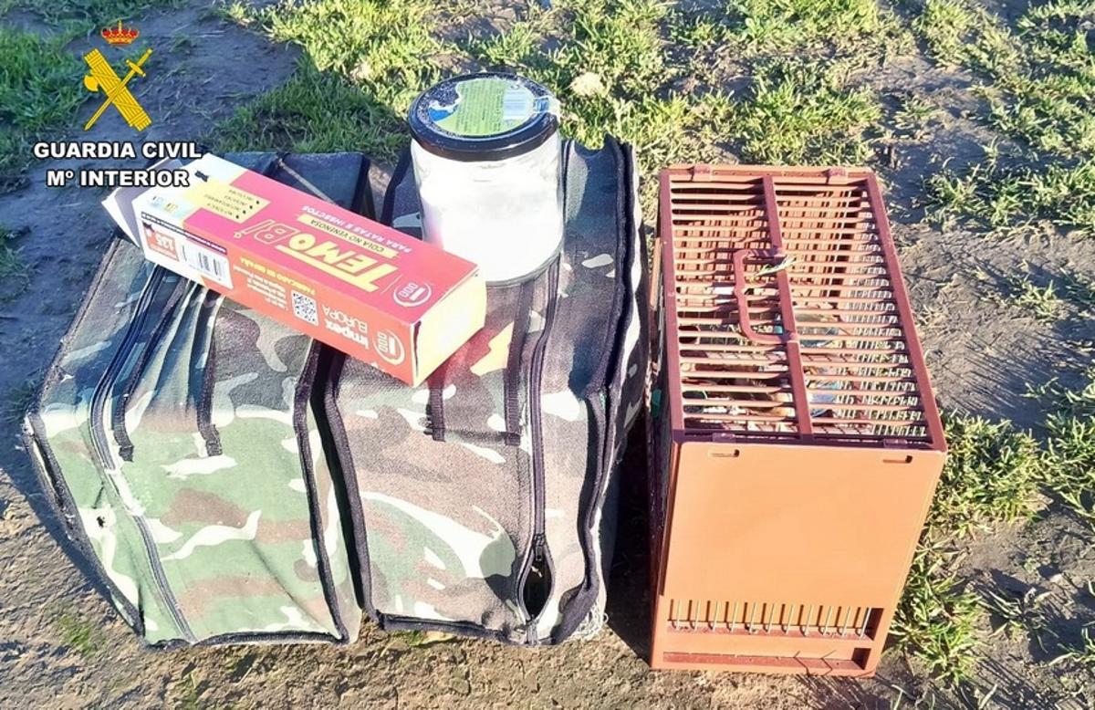 Jaulas con pegamento incautadas por la Guardia Civil en Badajoz.
