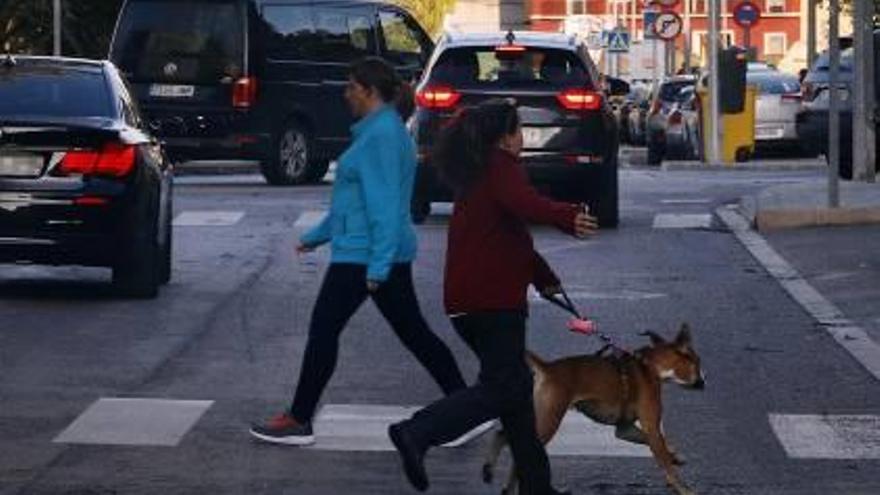 Una joven pase a su perro por las calles de Carcaixent.