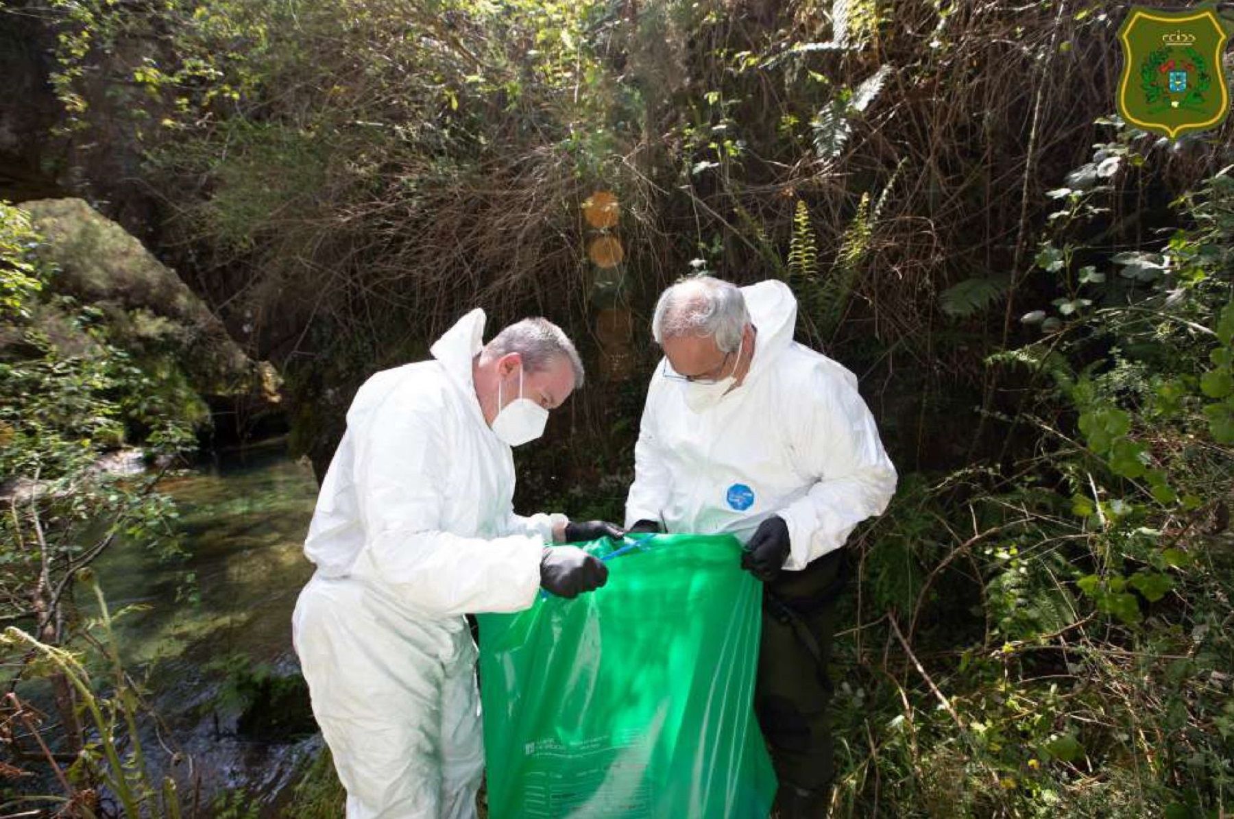 Los agentes retirando los cadáveres de los animales