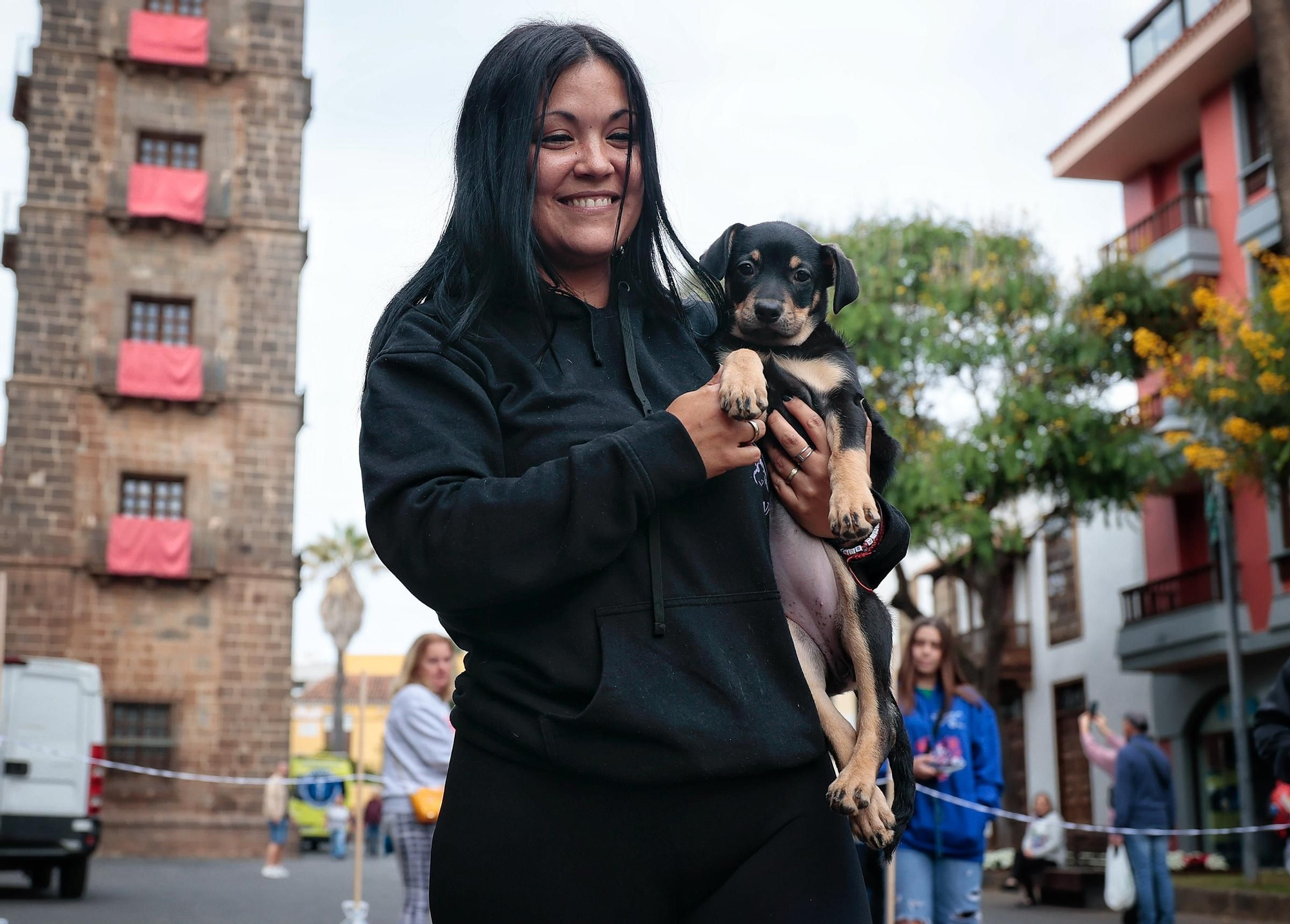 Feria de la Adopción Responsable de Animales de Compañía