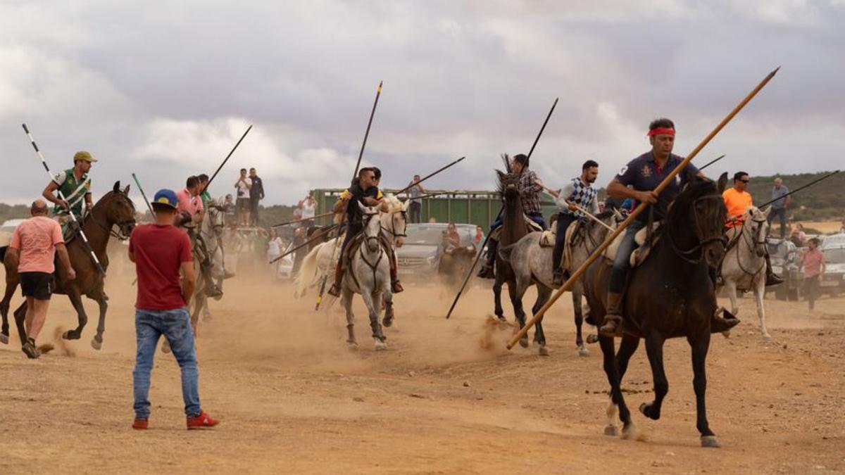 Bravura en las eras de Carbajales