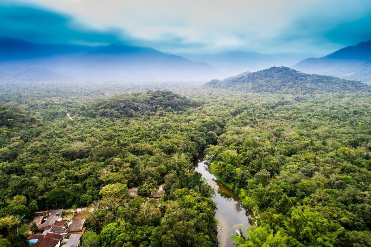 Amazonia, Brasil