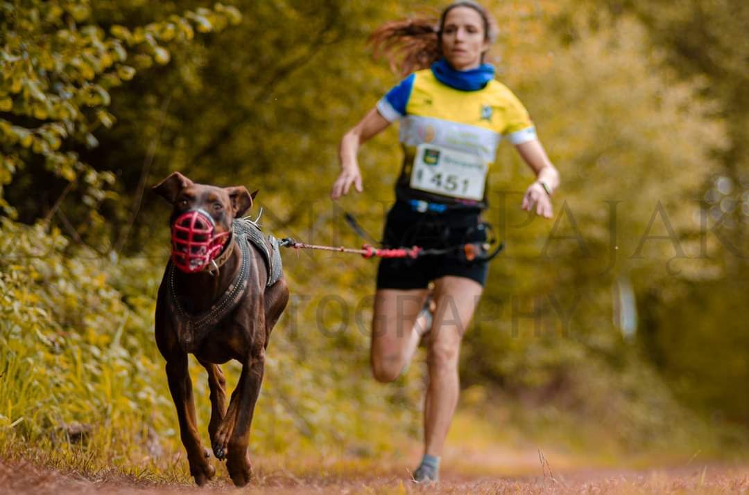 Cristina Pérez, del Celtastur Mushing de Llanera, clasificada para el campeonato de Europa de canicross