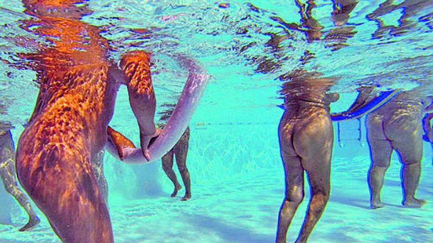 Personas desnudas realizando ejercicios en una piscina.