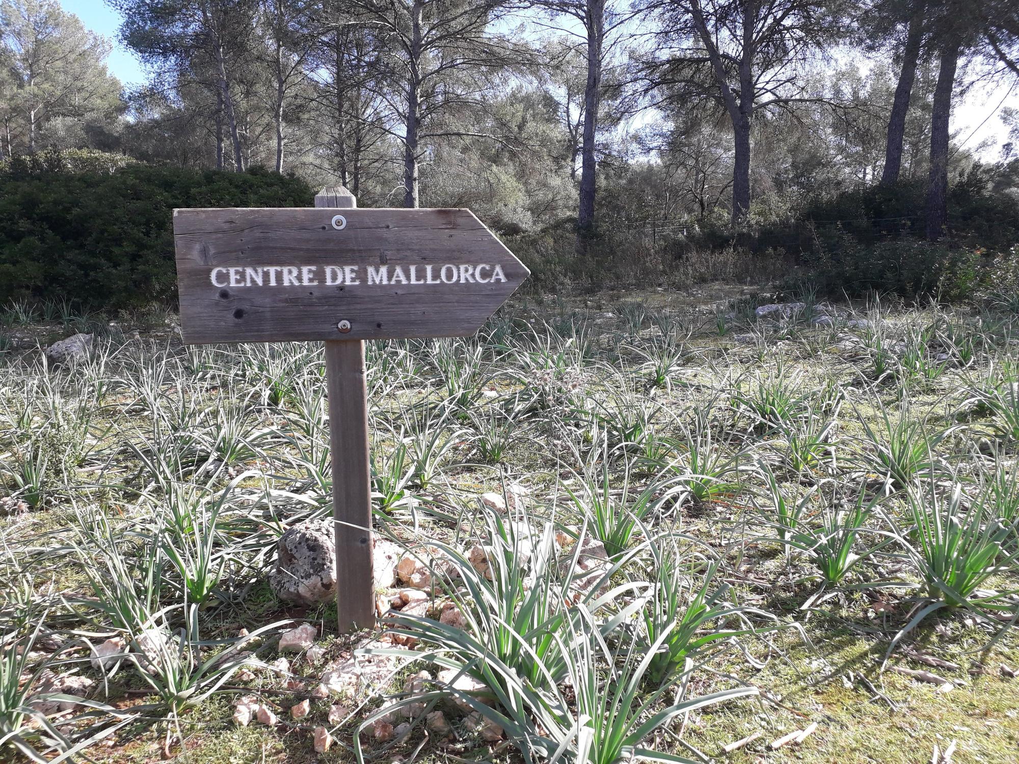 Operation Wegweiser: Wandern auf Mallorca im Schilderwald