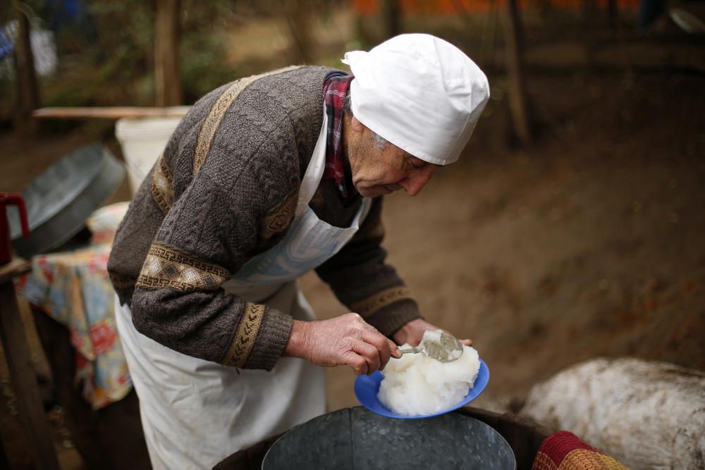 Jordi Roca visita la serra de Vilches, a Xile, on li mostren l''elaboració del gelat