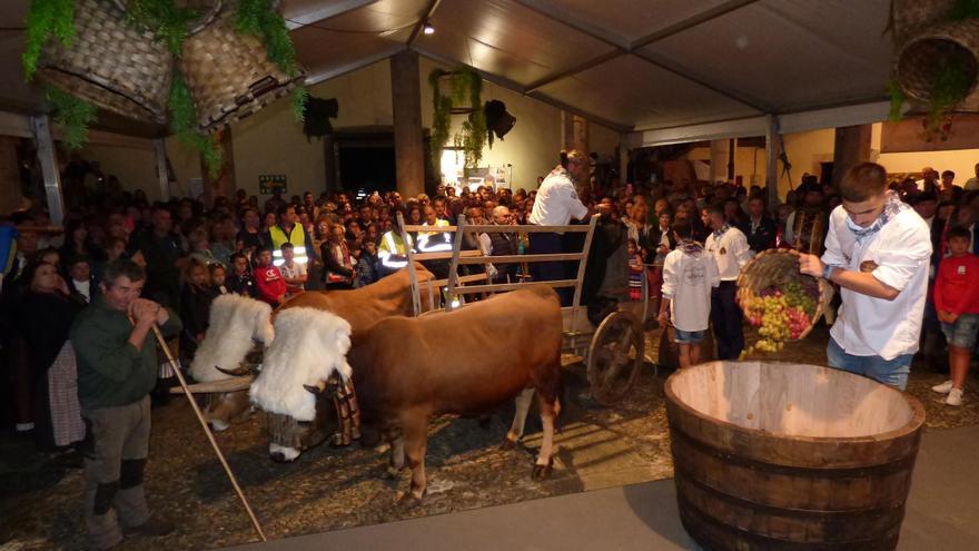 La cultura y la tradición en torno al vino llenan Cangas del Narcea en su Fiesta de la Vendimia