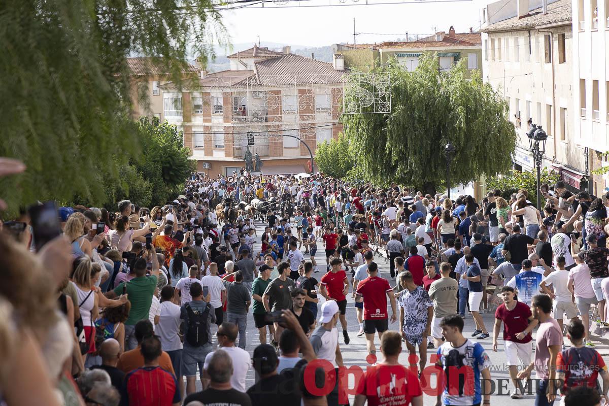 Fiestas de Moratalla/Primer encierro_016 Fiestas de Moratalla/Primer encierro_016