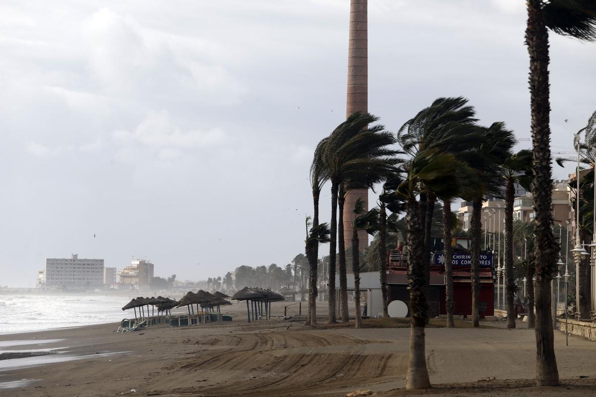 Alerta amarilla: el viento vuelve a ser protagonista en la jornada de este viernes