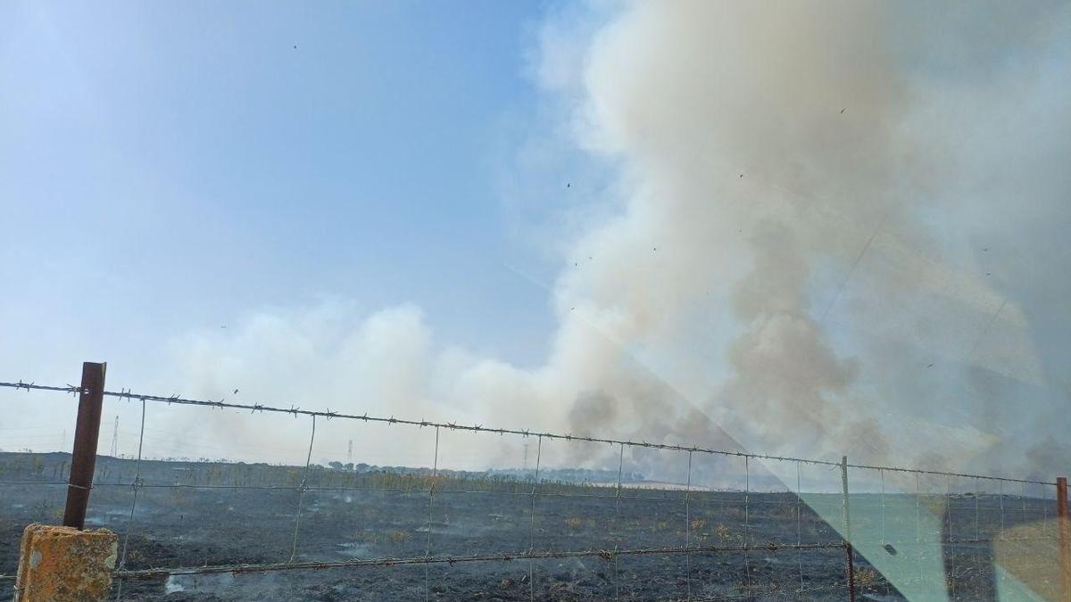 Vídeo | Guardia Civil en el incendio de Ruanes