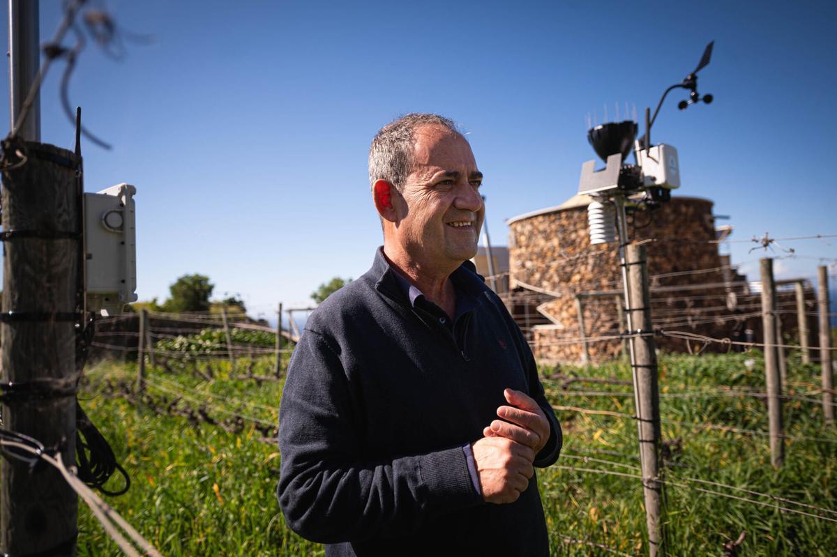 Implementación de la Inteligencia Artificial en la producción de bodegas Viñátigo