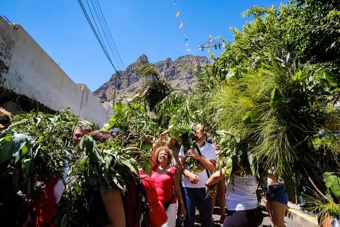 28.06.18. AGAETE.  BAJADA DE LA RAMA, EL VALLE ...