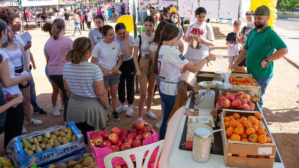 Feria de la Educación del año pasado.