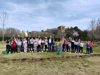 Benavente: Plantas que dan vida