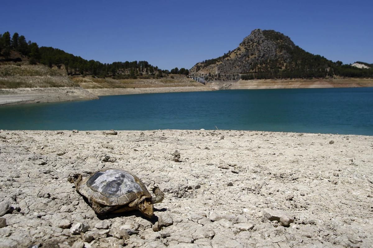 La situación del pantano de Iznájar, en imágenes