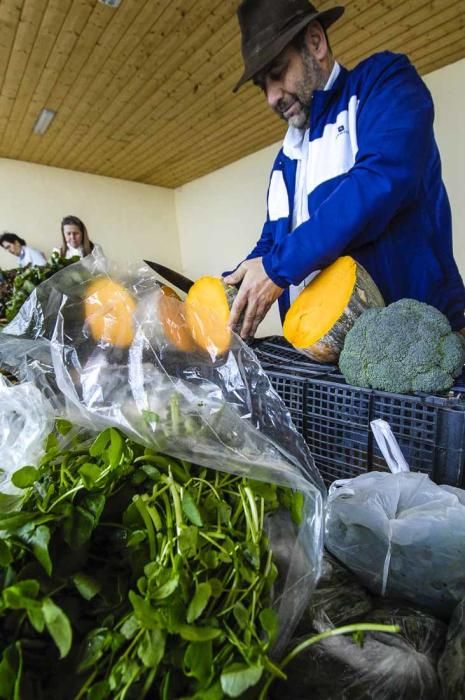 Mercado de berros a 1 euro en Ingenio