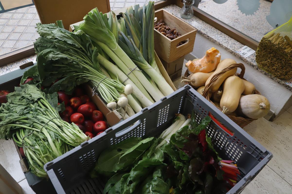 Tienda de frutas y verduras ecológicas en Córdoba.