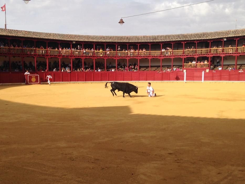 Fiestas Toro- concurso de jóvenes cortadores