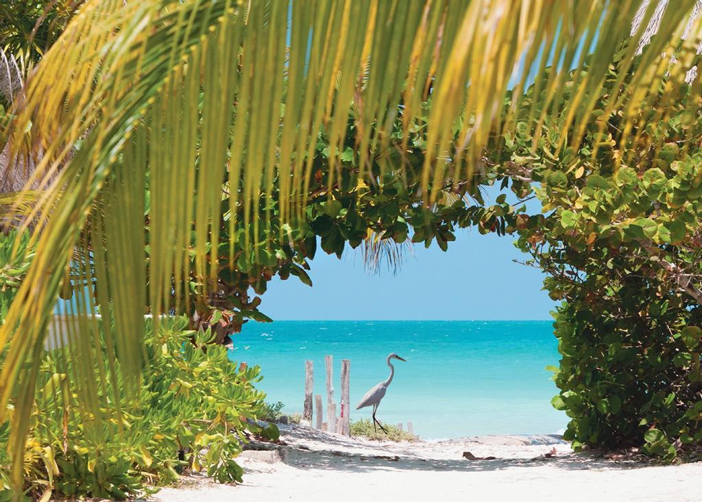 La naturaleza en la Riviera Maya es uno de sus miles de encantos