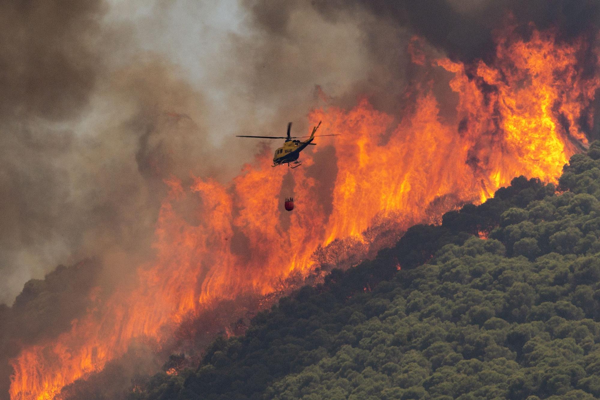 Declarado un incendio en la Sierra de Mijas