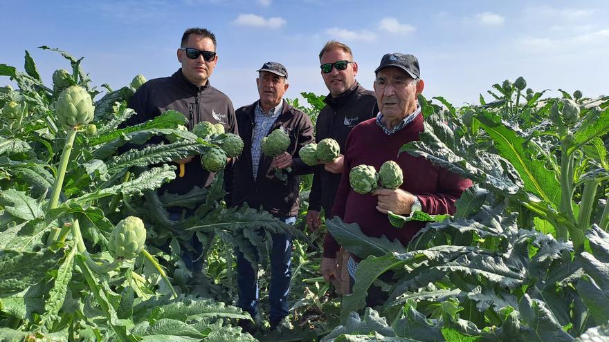 Una empresa de tres familias y con relevo generacional se lleva el premio Agricultor del Año en Elche