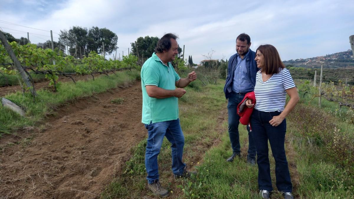 Imagen de la visita de la alcaldesa de Telde, Carmen Hernández, a la Bodega Higuera Mayor.